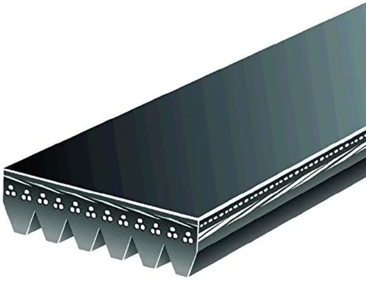 Gates V-Ribbed Belt