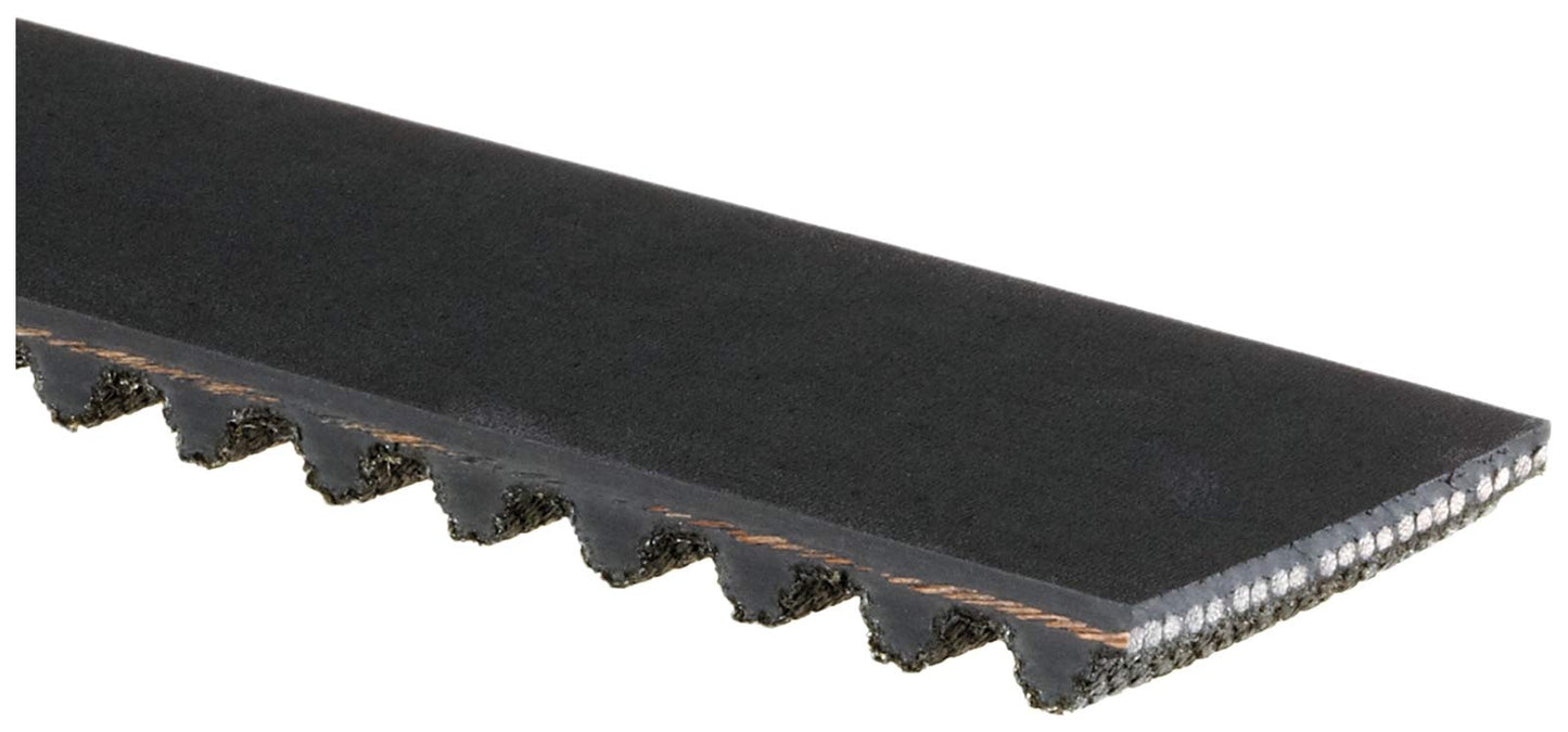 Gates T313 Timing Belt