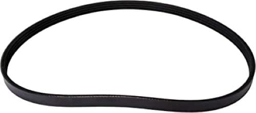 Continental Elite 4040342 Poly-V/Serpentine Belt