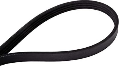 Continental Elite 4060407 Poly-V/Serpentine Belt