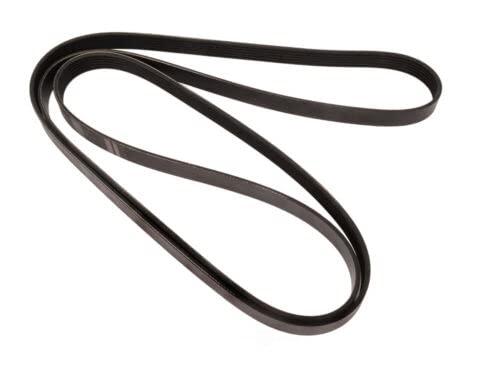 Continental Elite 4060967 Poly-V/Serpentine Belt