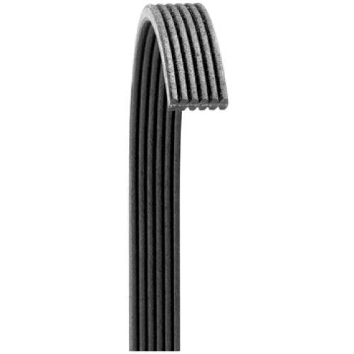 Dayco Poly Rib V-Ribbed Belt (6060654)