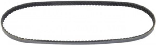 Continental Elite 4040550 Poly-V/Serpentine Belt