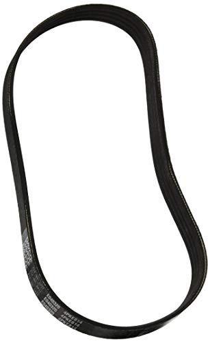 Dayco E040320 Serpentine Belt (POLY RIB¨ ELA)
