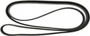 Continental Elite 4070491F Poly-V Belt