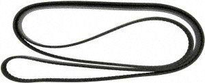 Continental Elite 4070972 Poly-V/Serpentine Belt