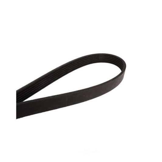 Continental - Goodyear - Poly-V Belt (4060562F)