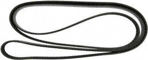 Continental Elite 4071130 Poly-V/Serpentine Belt