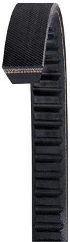 Dayco BX55 Gold Label Cog Belt