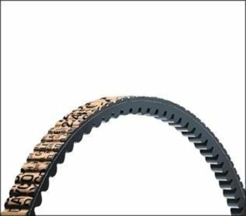 Dayco 22675 V-Belt