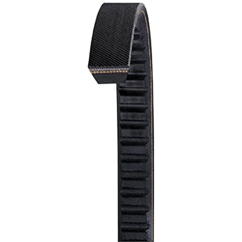 Dayco BX69 V-Belt