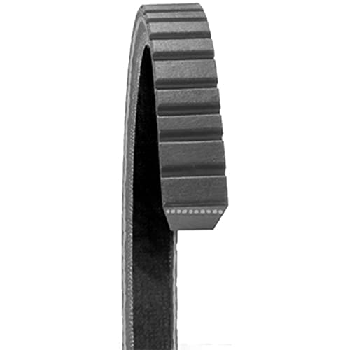 Dayco 17730 V-Belt