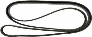 Continental Elite 4070682 Poly-V/Serpentine Belt