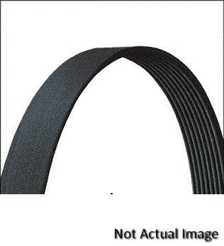 Dayco 5060573DR Serpentine Belt