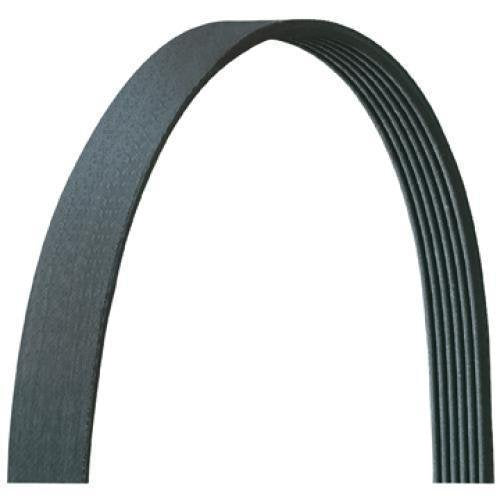 Dayco 5050455DR Serpentine Belt