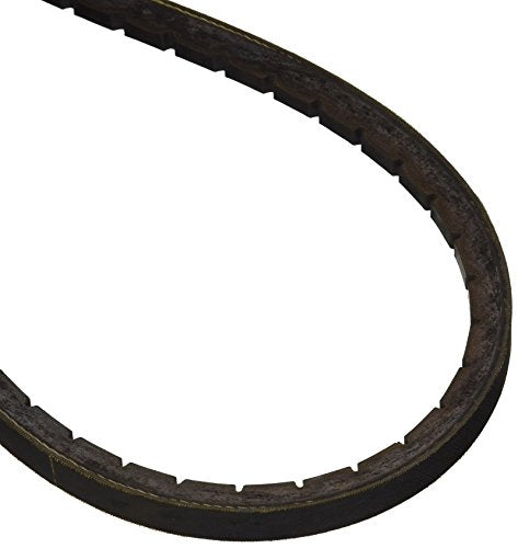 Dayco 5VX630 Gold Label Cogged V-Belt