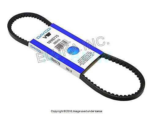 Dayco Belt 10 X 775 99919233850