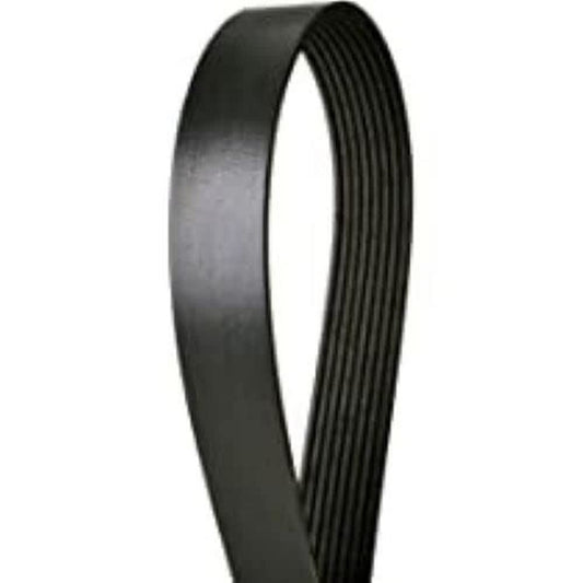 Continental 4081261 Serpentine Belt, black