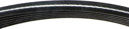 Continental D4060472 Dual-Sided Poly-V/Serpentine Belt | Patman Parts