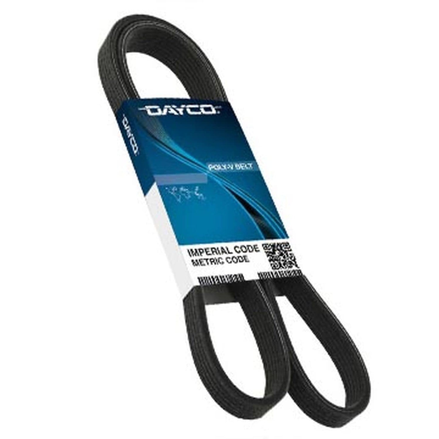 Poly Rib Belt, A060815