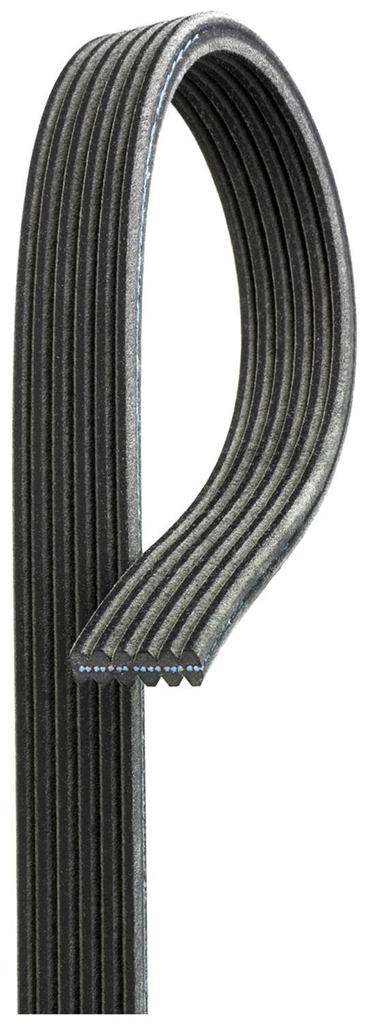 ACDelco Gold 6DK956 Dual Sided V-Ribbed Serpentine Belt