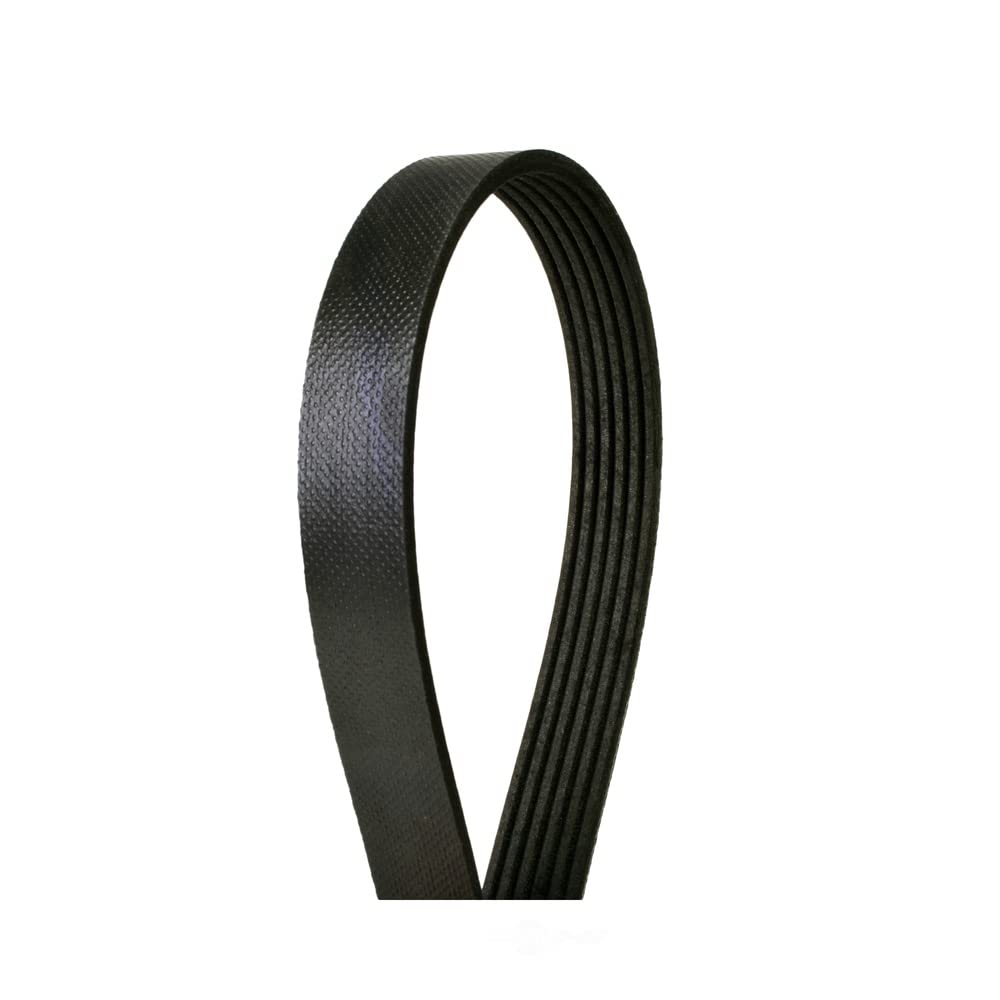 Continental 550K6MK Drive Belt | Patman Parts