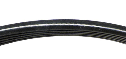 Continental D4060956 Dual-Sided Poly-V/Serpentine Belt | Patman Parts