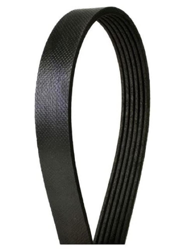 Continental 71226 Powersports Belt | Patman Parts