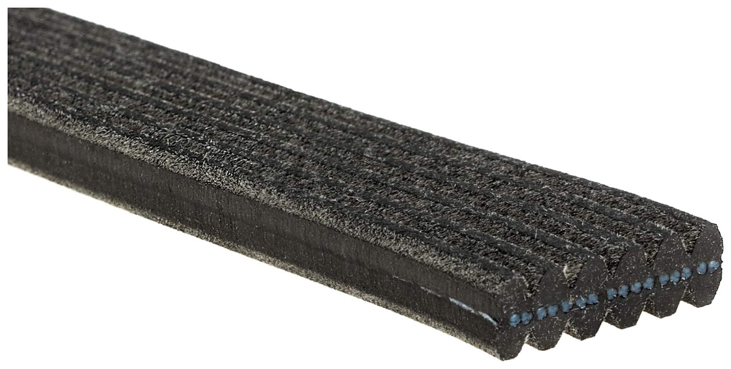 ACDelco 6DK725 Professional Double-Sided V-Ribbed Belt | Patman Parts