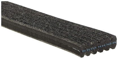 ACDelco 6DK725 Professional Double-Sided V-Ribbed Belt