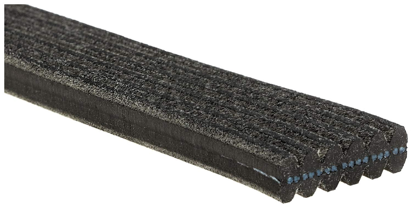 ACDelco 6DK729 Professional Double-Sided V-Ribbed Belt