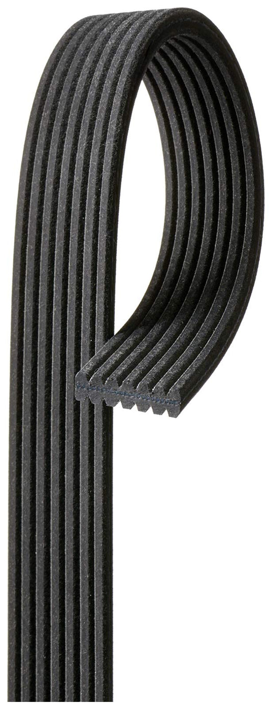 Gates DK070536 Multi V-Groove Belt