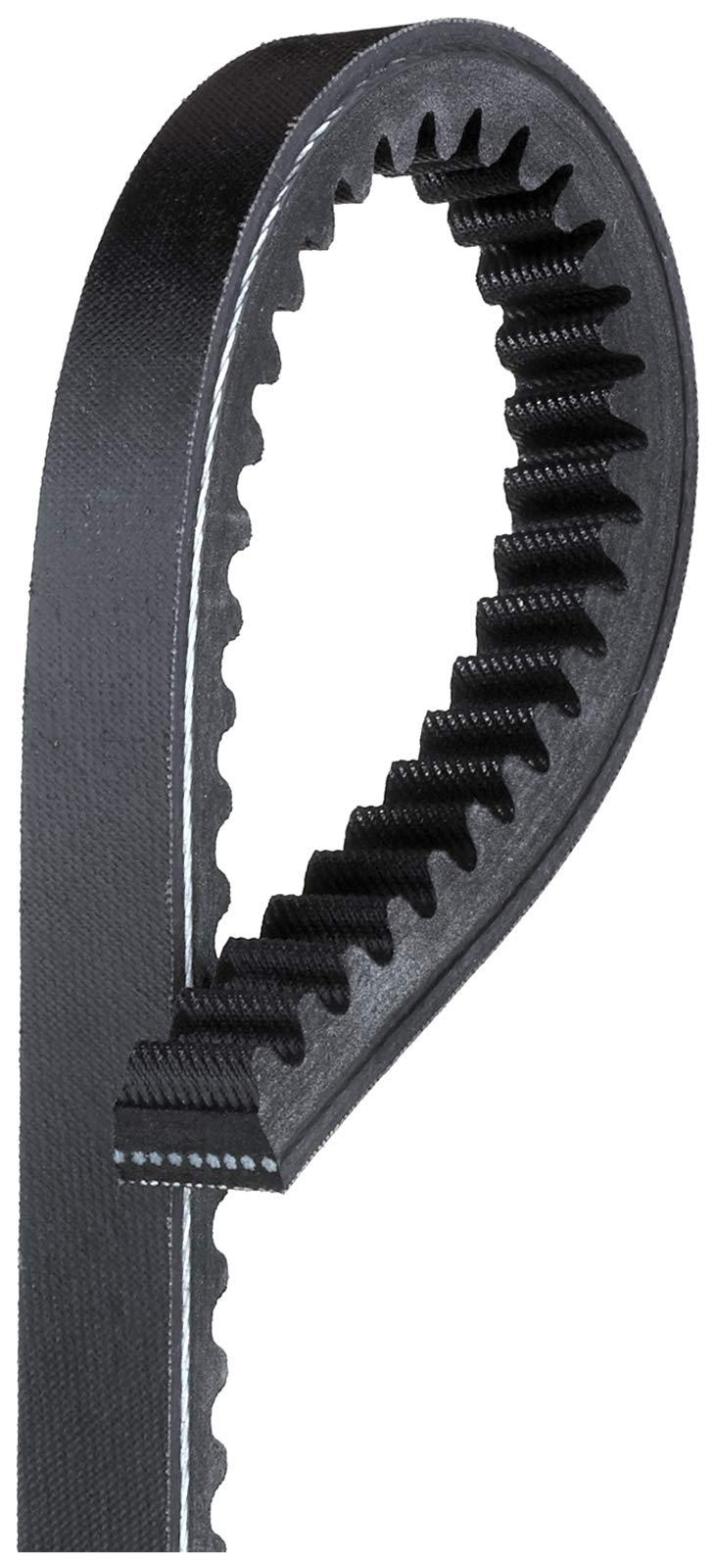 Gates TR22448 Truck Belt