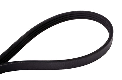 Continental Elite 4040420 Poly-V/Serpentine Belt