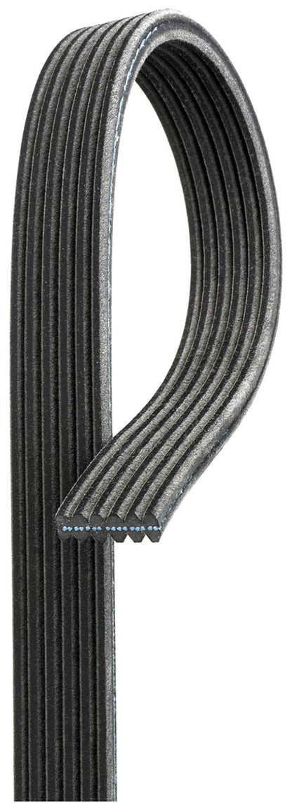 Gates DK060725 Multi V-Groove Belt