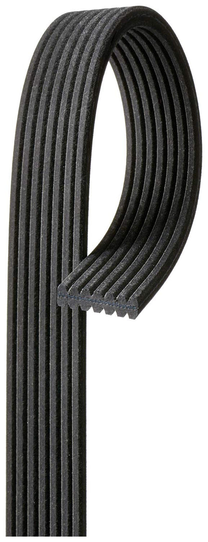 ACDelco 7DK536 Professional Double-Sided V-Ribbed Belt | Patman Parts