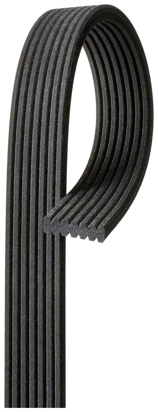 ACDelco 7DK536 Professional Double-Sided V-Ribbed Belt