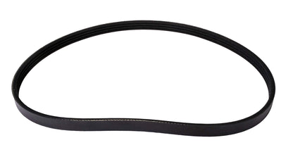 Continental 4040255S 4 Ribs 25.50" Multi-V Belt | Patman Parts