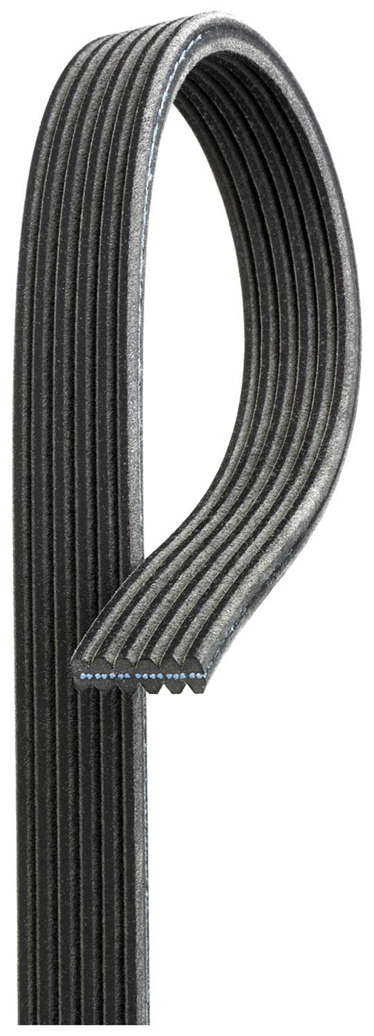 ACDelco 6DK729 Professional Double-Sided V-Ribbed Belt | Patman Parts