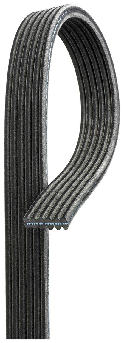 ACDelco 6DK729 Professional Double-Sided V-Ribbed Belt | Patman Parts