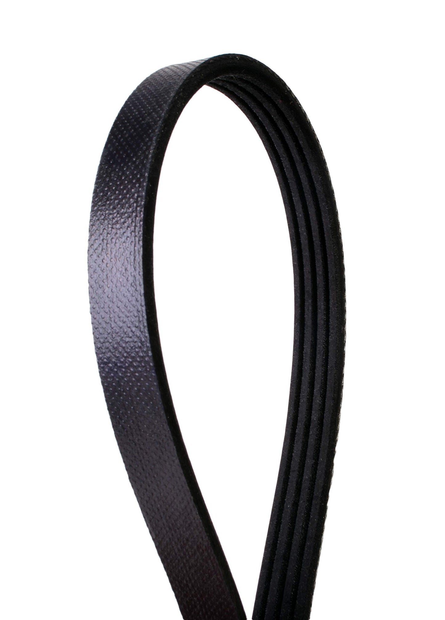 Continental Elite 4040374S Poly-V Stretch Belt, One Size