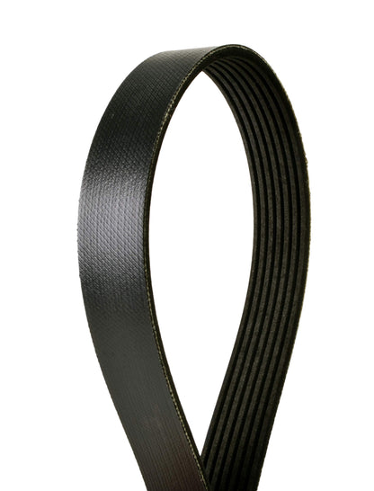 Continental OE Technology Series 4070677 7-Rib, 67.7" Multi-V Belt