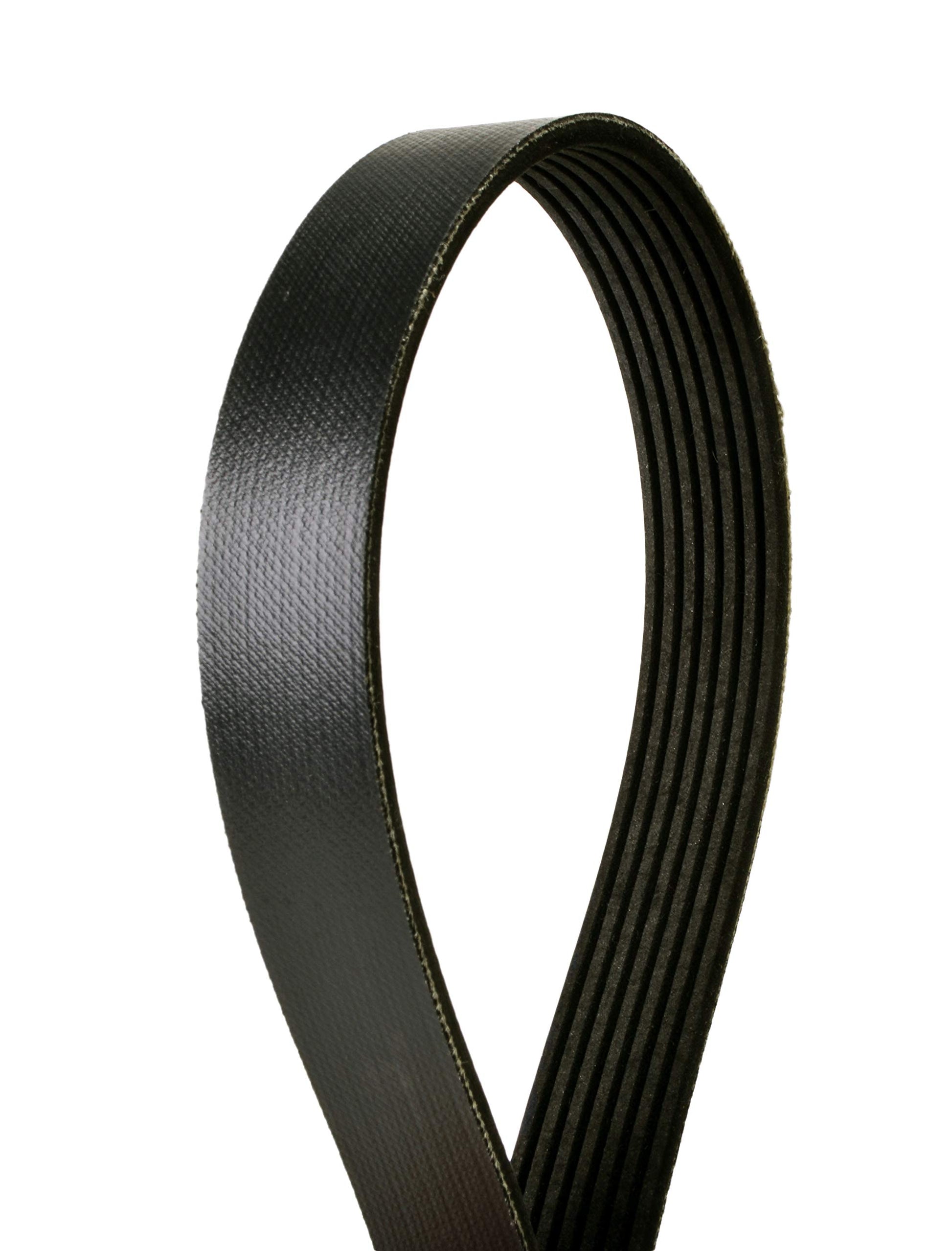 Continental 4070892 OE Technology Series Multi-V Belt | Patman Parts