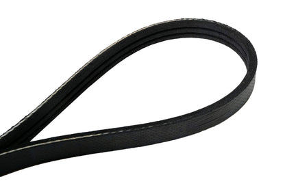 Continental Elite 4030335 Poly-V/Serpentine Belt