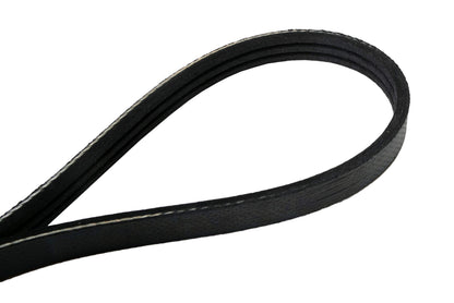 Continental 4030195 OE Technology Series Multi-V Belt | Patman Parts