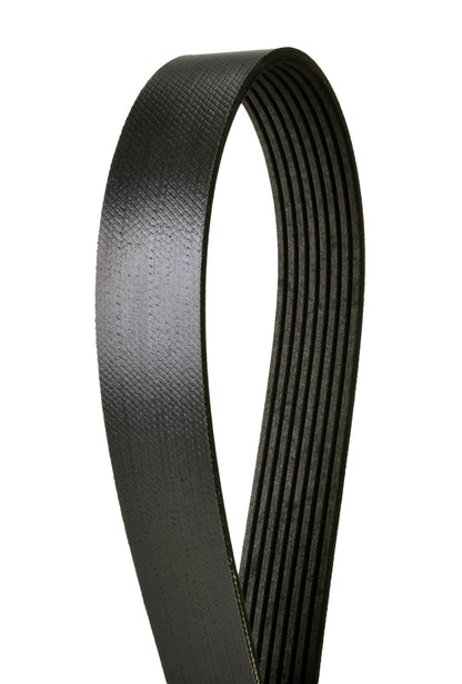 Continental Elite 4080580 Poly-V/Serpentine Belt