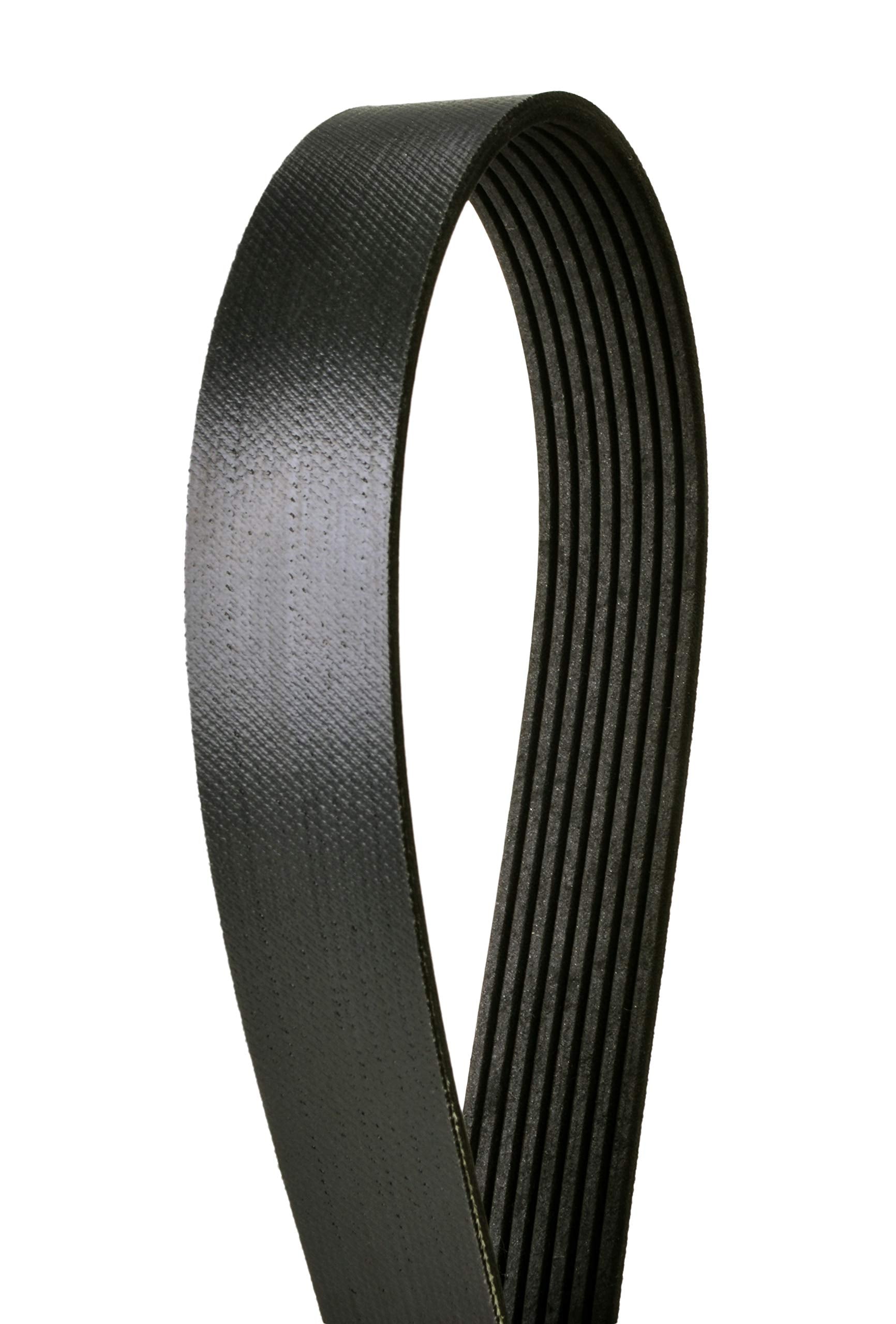 Continental 4081035 OE Technology Series Multi-V Belt | Patman Parts