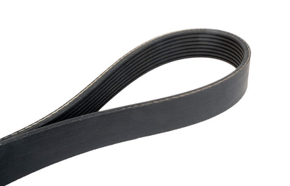 Continental Elite 4080585 Poly-V/Serpentine Belt