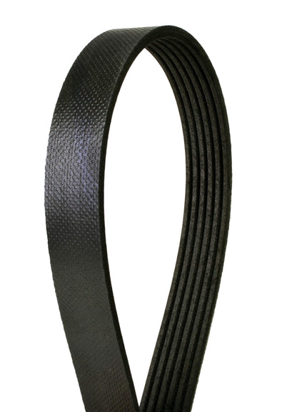 Continental OE Technology Series 4060610 6-Rib, 61.0" Multi-V Belt