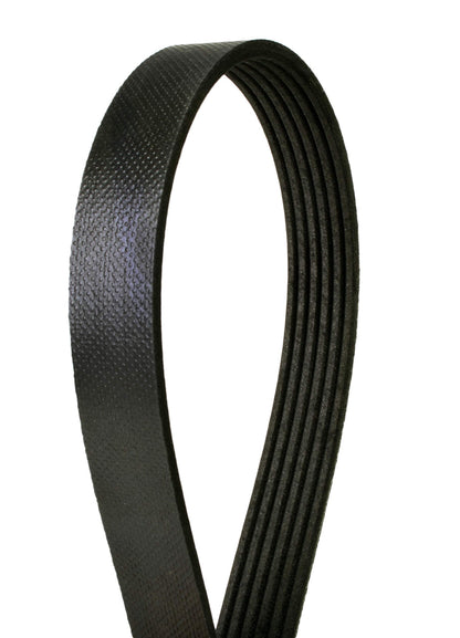 Continental 4060606 OE Technology Series Multi-V Belt | Patman Parts